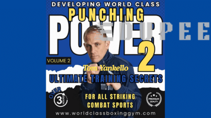 DEVELOPING WORLD CLASS PUNCHING POWER, VOLUME 2- ULTIMATE TRAINING SECRETS by Tom Yankello free download